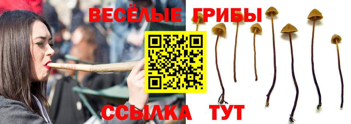 Псилоцибиновые грибы мухоморы Россошь